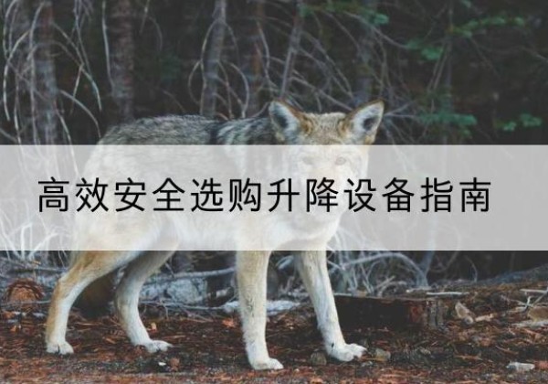 乐安升降货梯厂家推荐-*安全选购升降设备指南