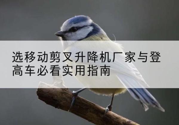 乐安电动升降机厂家-选移动剪叉升降机厂家与登高车必看实用指南