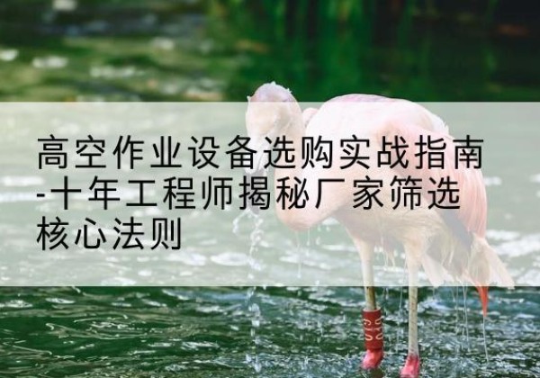 乐安剪叉式升降机厂家-高空作业设备选购实战指南-十年工程师揭秘厂家筛选核心法则